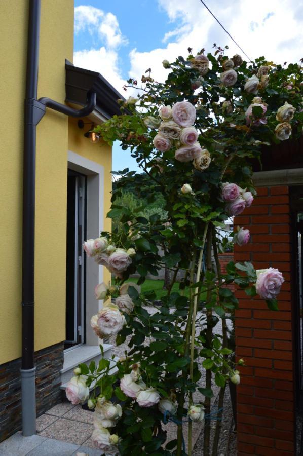 Apartment Kancler Nova Gorica Luaran gambar