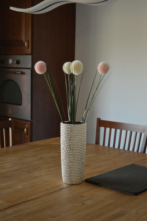 Apartment Kancler Nova Gorica Luaran gambar